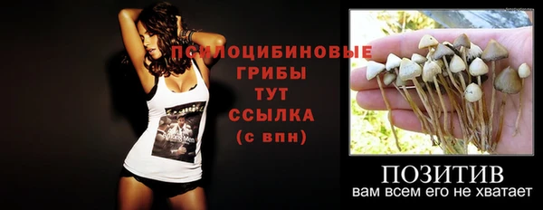 метамфетамин Верея
